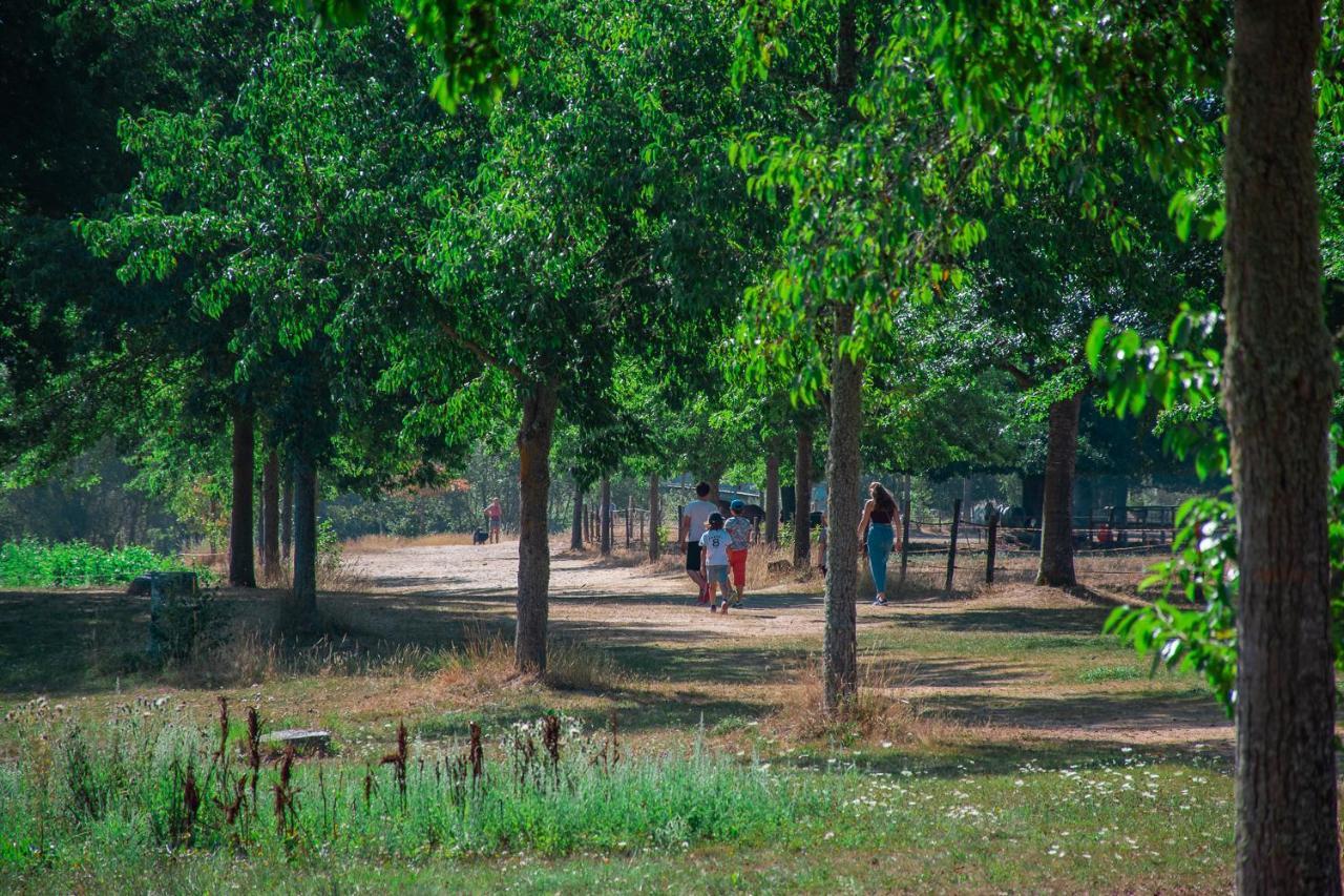 Village De Gites De La Foret De Ganigal Le Malzieu-Ville Zewnętrze zdjęcie